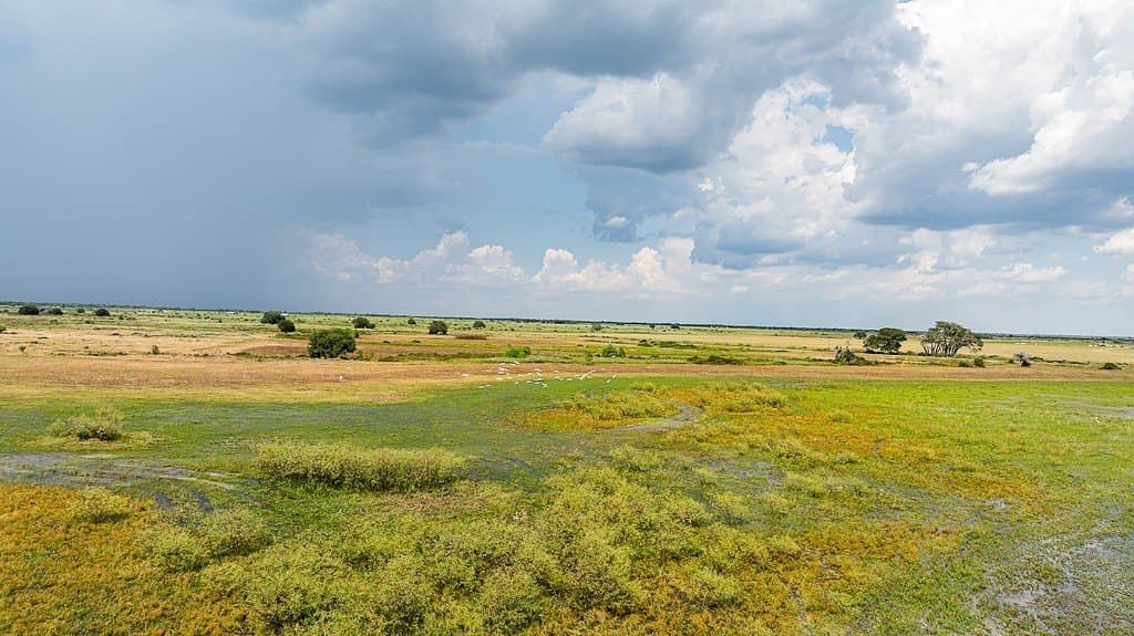 181.88 acres in Colorado County - photo 4