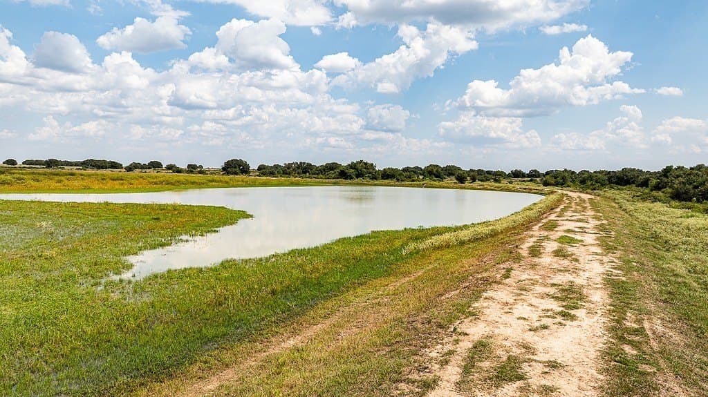 181.88 acres in Colorado County - photo 6