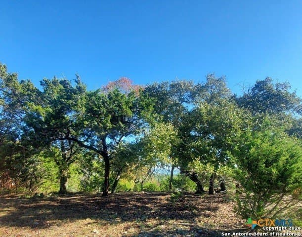0.31 acres in Comal County - photo 2