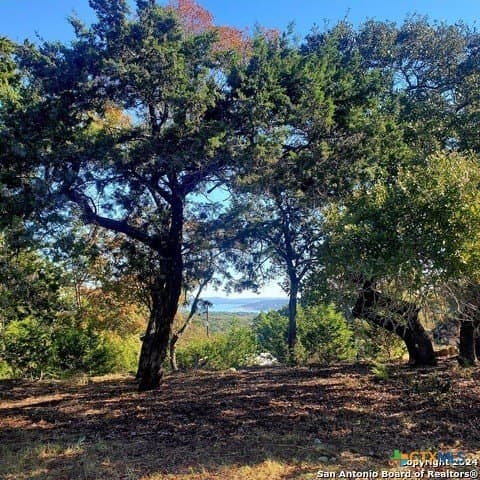 0.31 acres in Comal County - photo 3