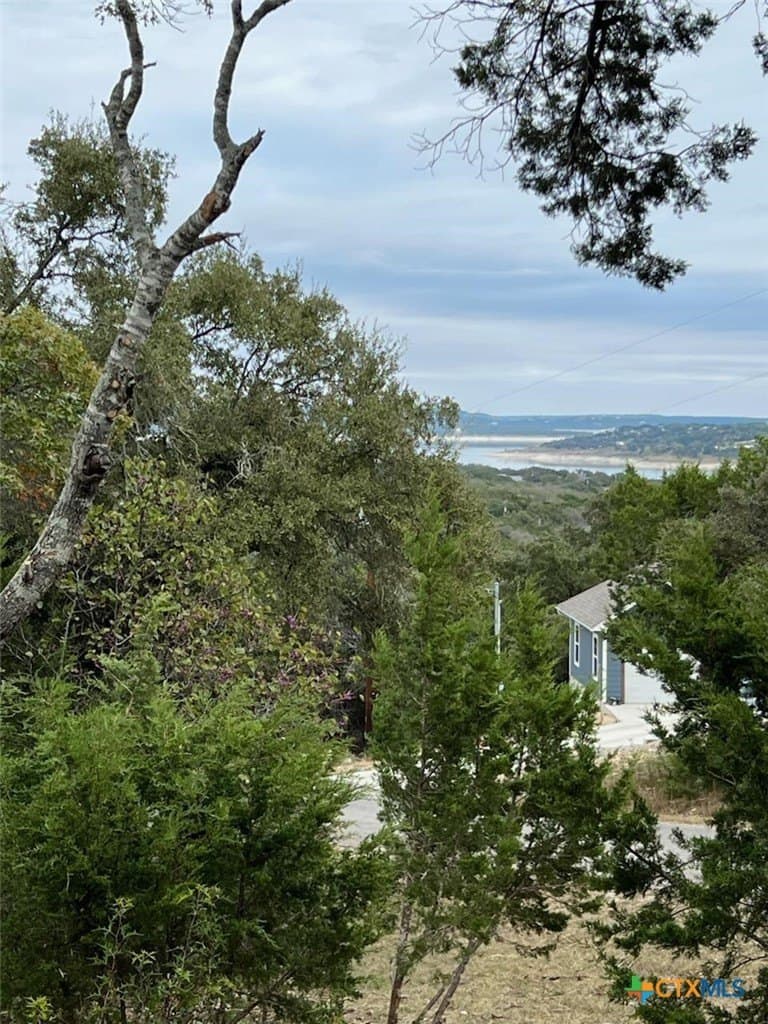 0.31 acres in Comal County - photo 7