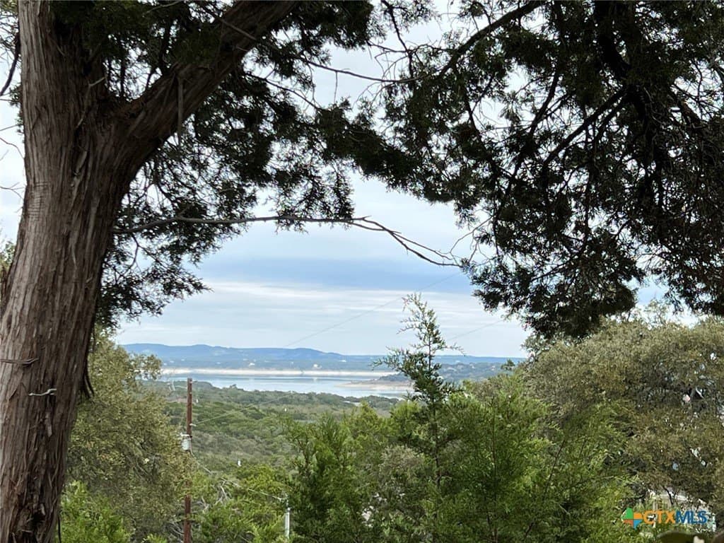 0.31 acres in Comal County - photo 8