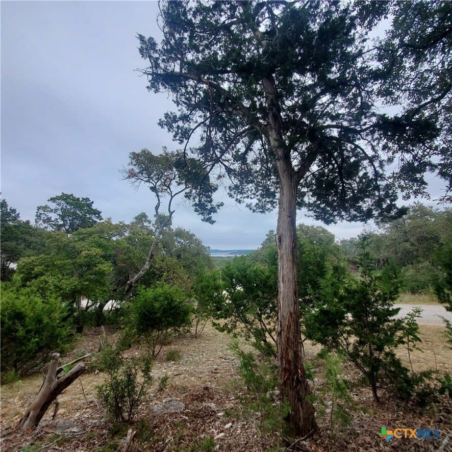 0.31 acres in Comal County - photo 6