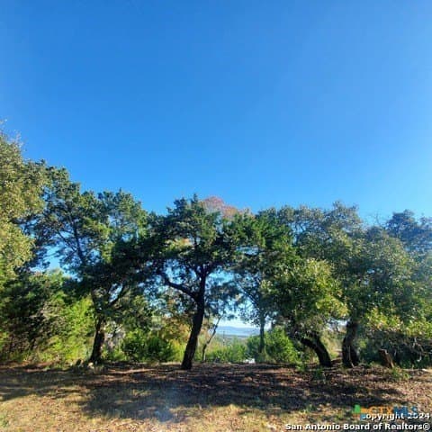 0.31 acres in Comal County - photo 4