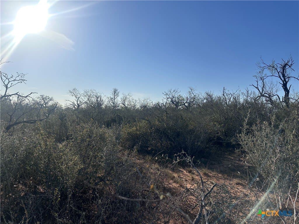 5.7 acres in Wilson County - photo 3
