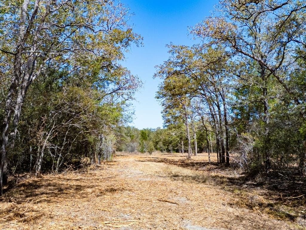 11.85 acres in Burleson County - photo 3