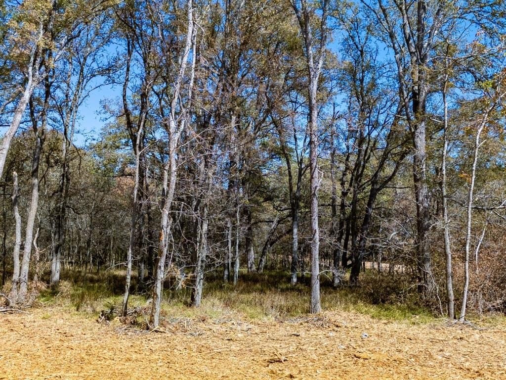 11.85 acres in Burleson County - photo 16