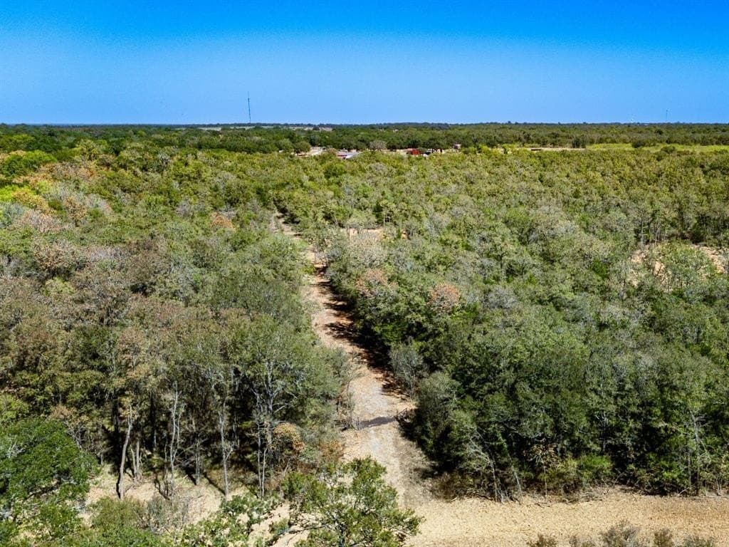 11.85 acres in Burleson County - photo 15