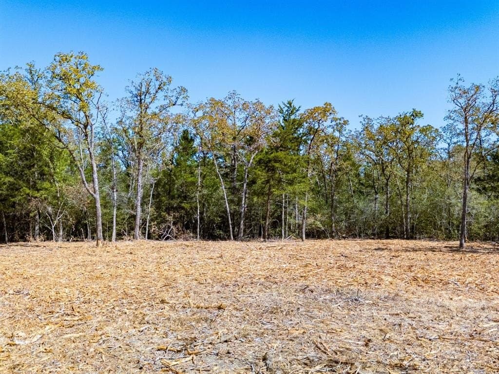 11.85 acres in Burleson County - photo 20