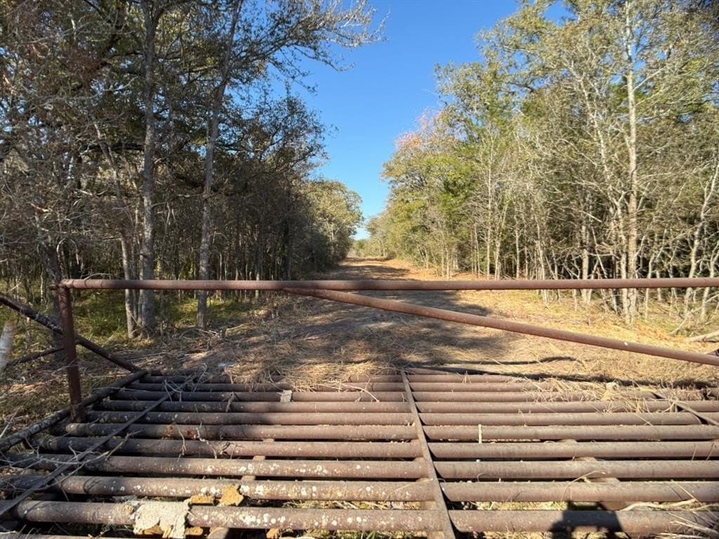 11.85 acres in Burleson County - photo 18
