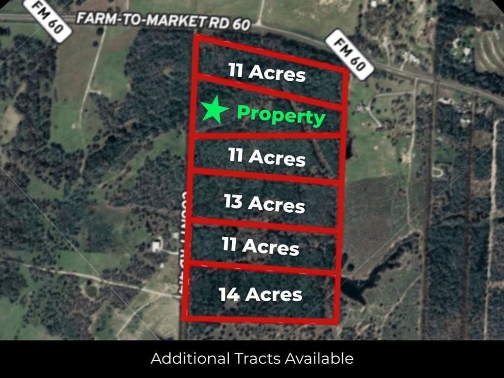 11.85 acres in Burleson County - photo 9