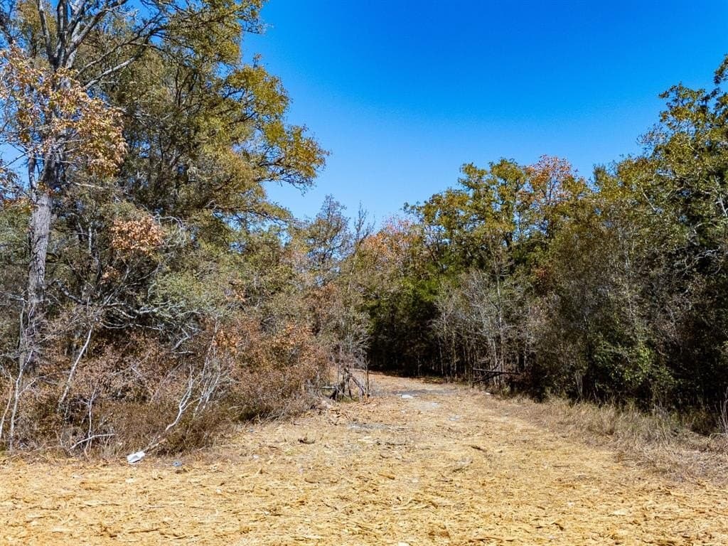 11.85 acres in Burleson County - photo 17
