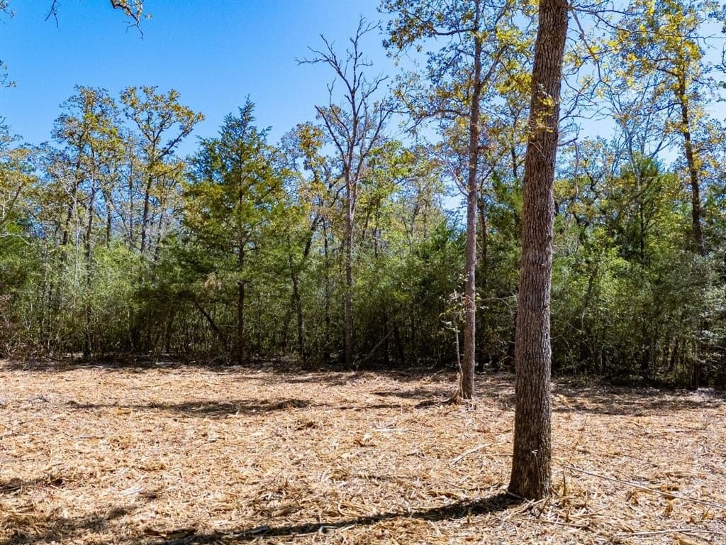 11.85 acres in Burleson County - photo 4