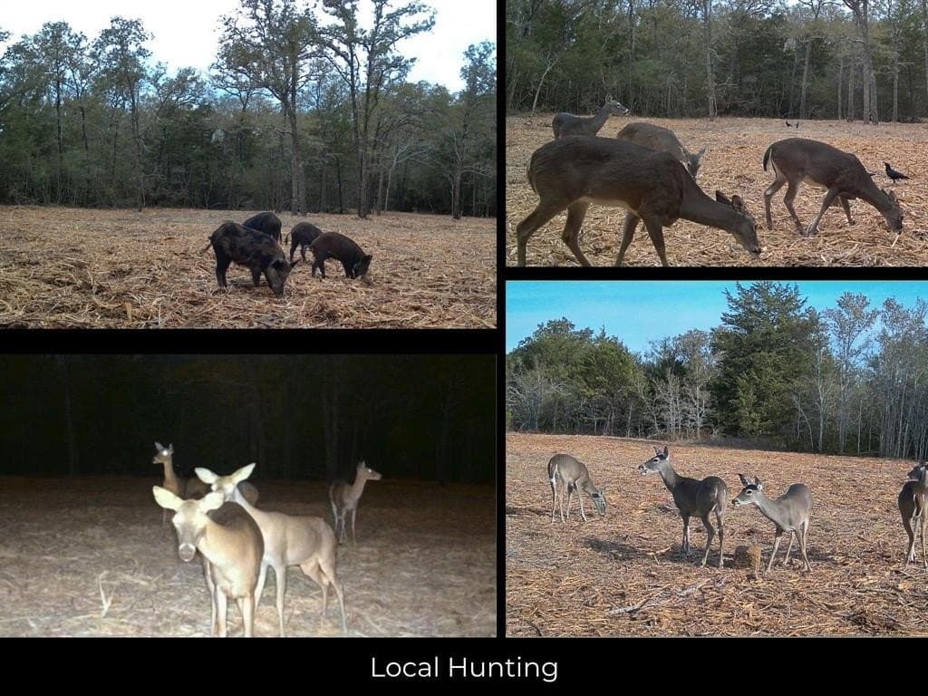 11.85 acres in Burleson County - photo 28
