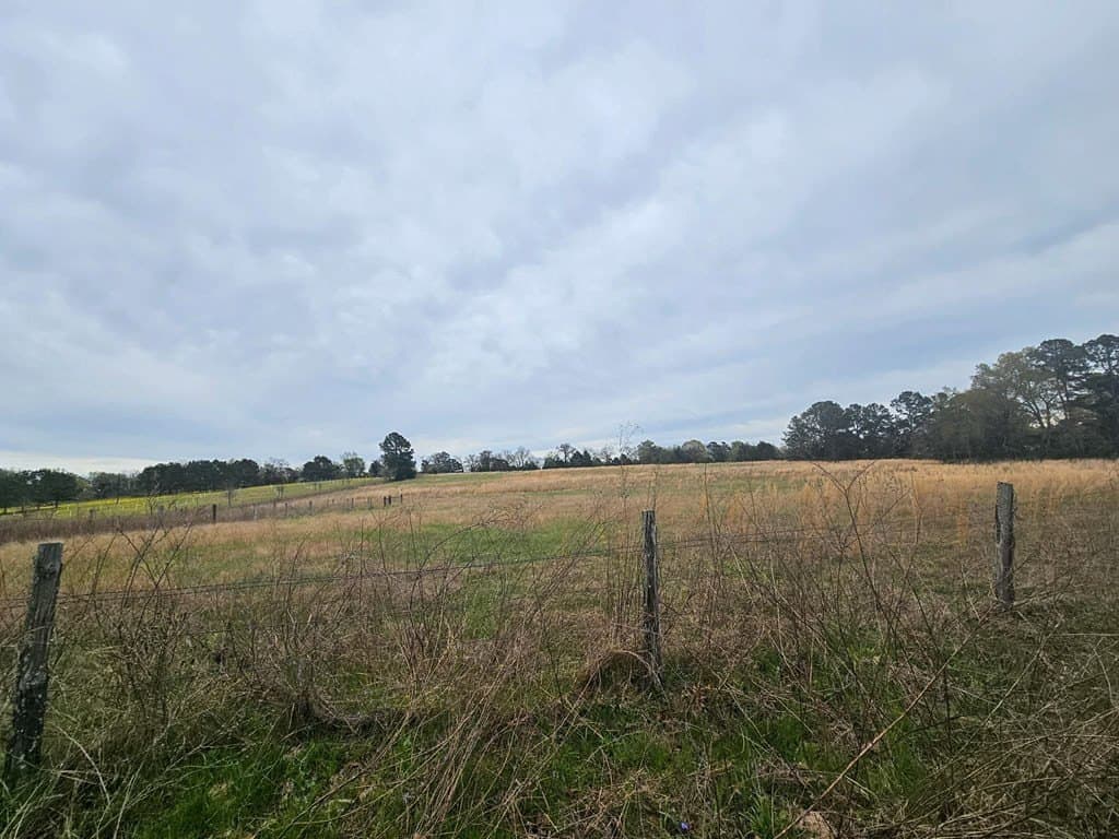 20.36 acres in ANDERSON County - photo 26