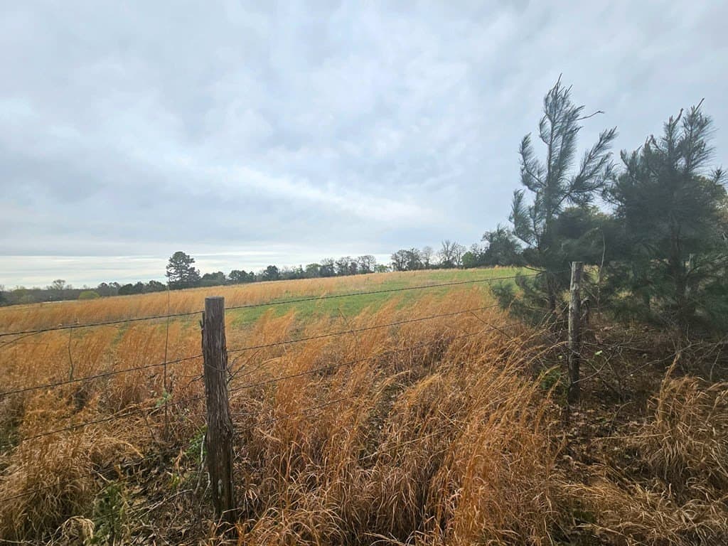 20.36 acres in ANDERSON County - photo 28