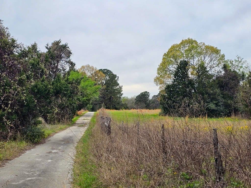 20.36 acres in ANDERSON County - photo 22