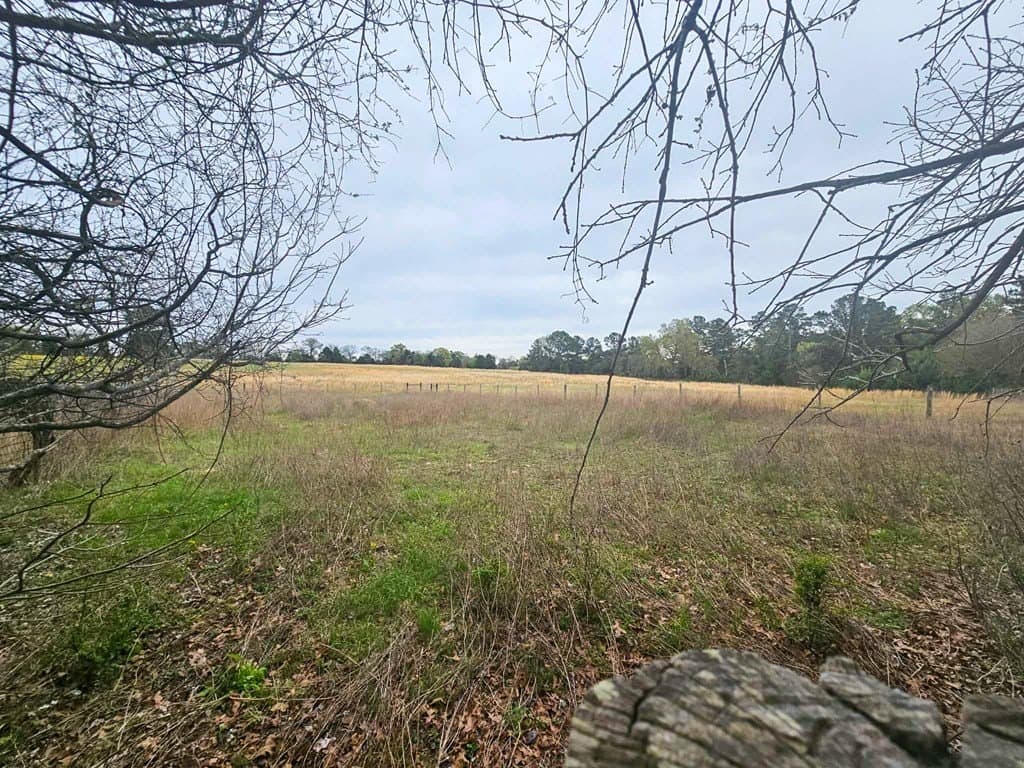 20.36 acres in ANDERSON County - photo 25