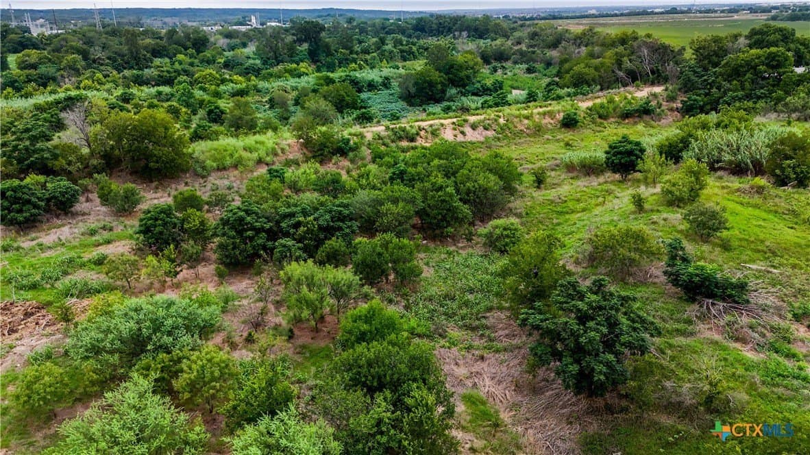 10.41 acres in Hays County - photo 19