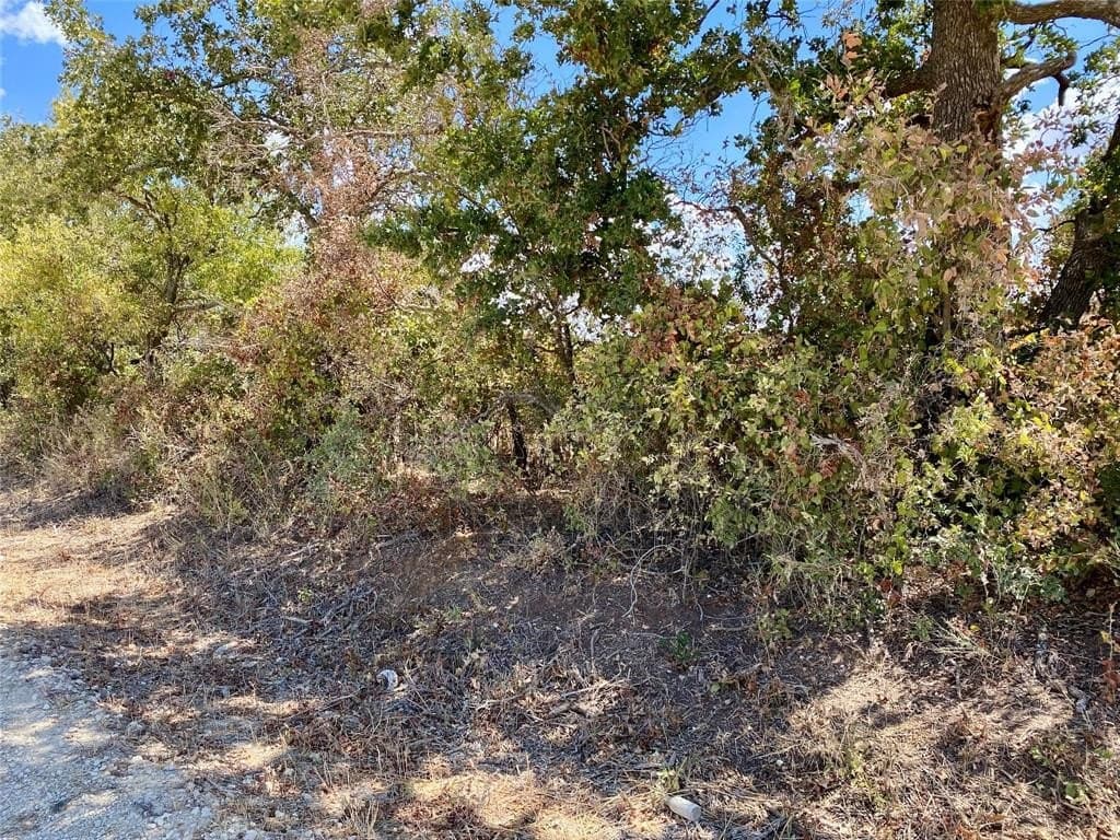 5 acres in Eastland County - photo 2