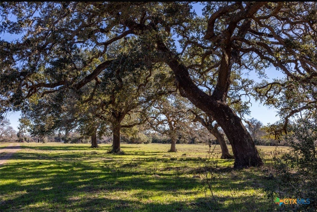 157.46 acres in Jackson County - photo 3