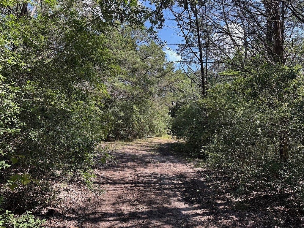 35.59 acres in Washington County - photo 5