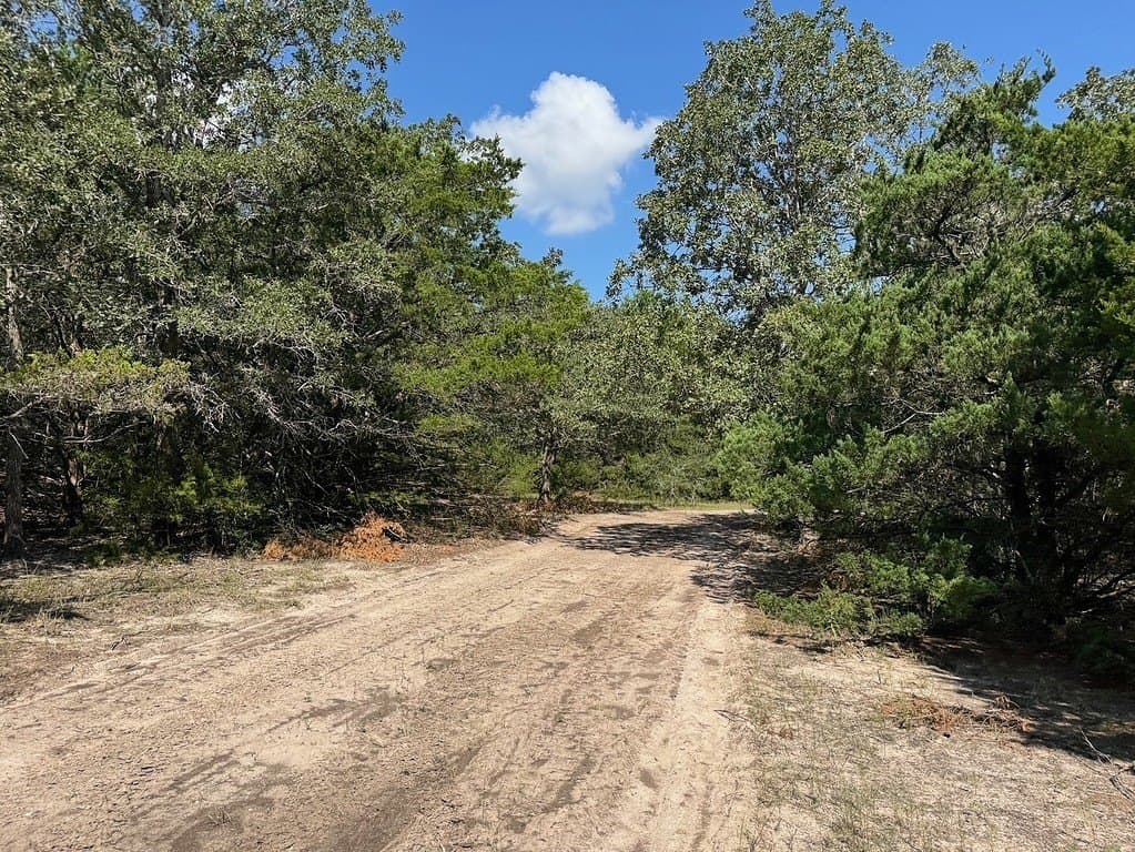 35.59 acres in Washington County - photo 4