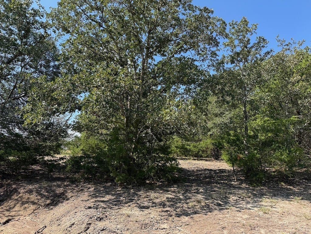 35.59 acres in Washington County - photo 3