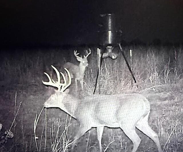 128.92 acres in Fannin County - photo 39