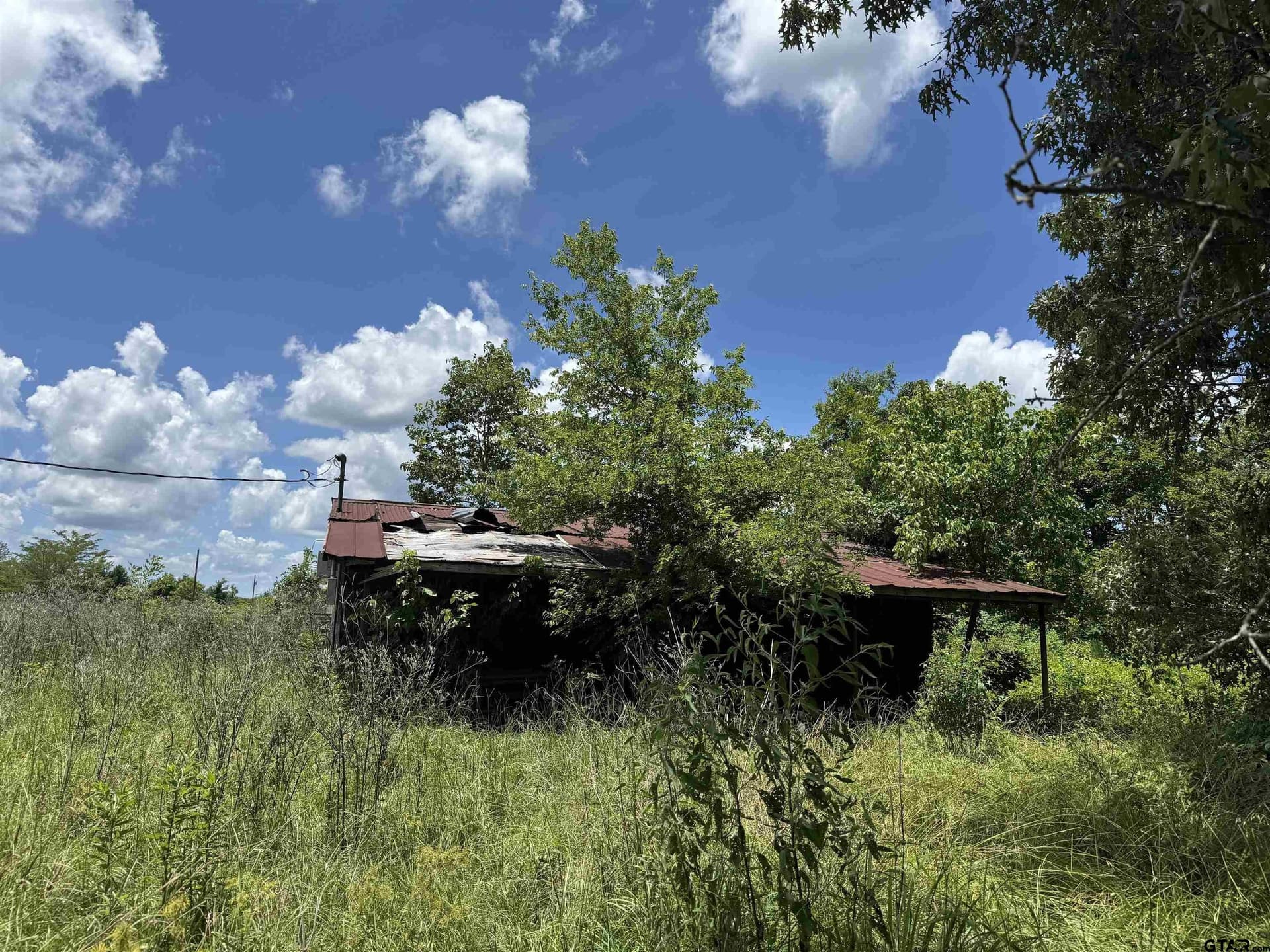34.47 acres in Titus County - photo 5
