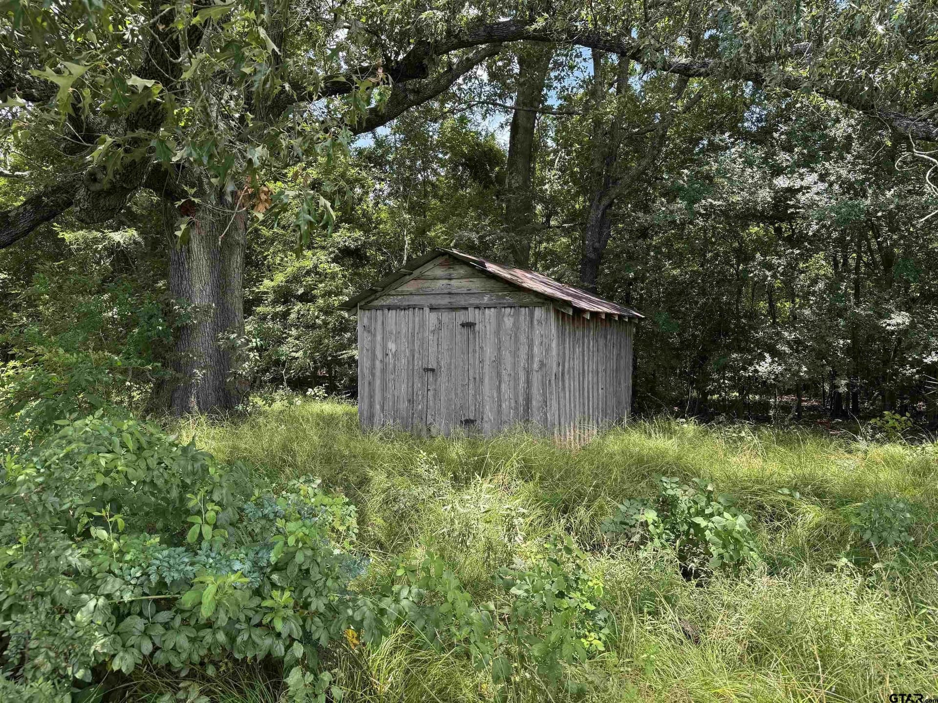 34.47 acres in Titus County - photo 10
