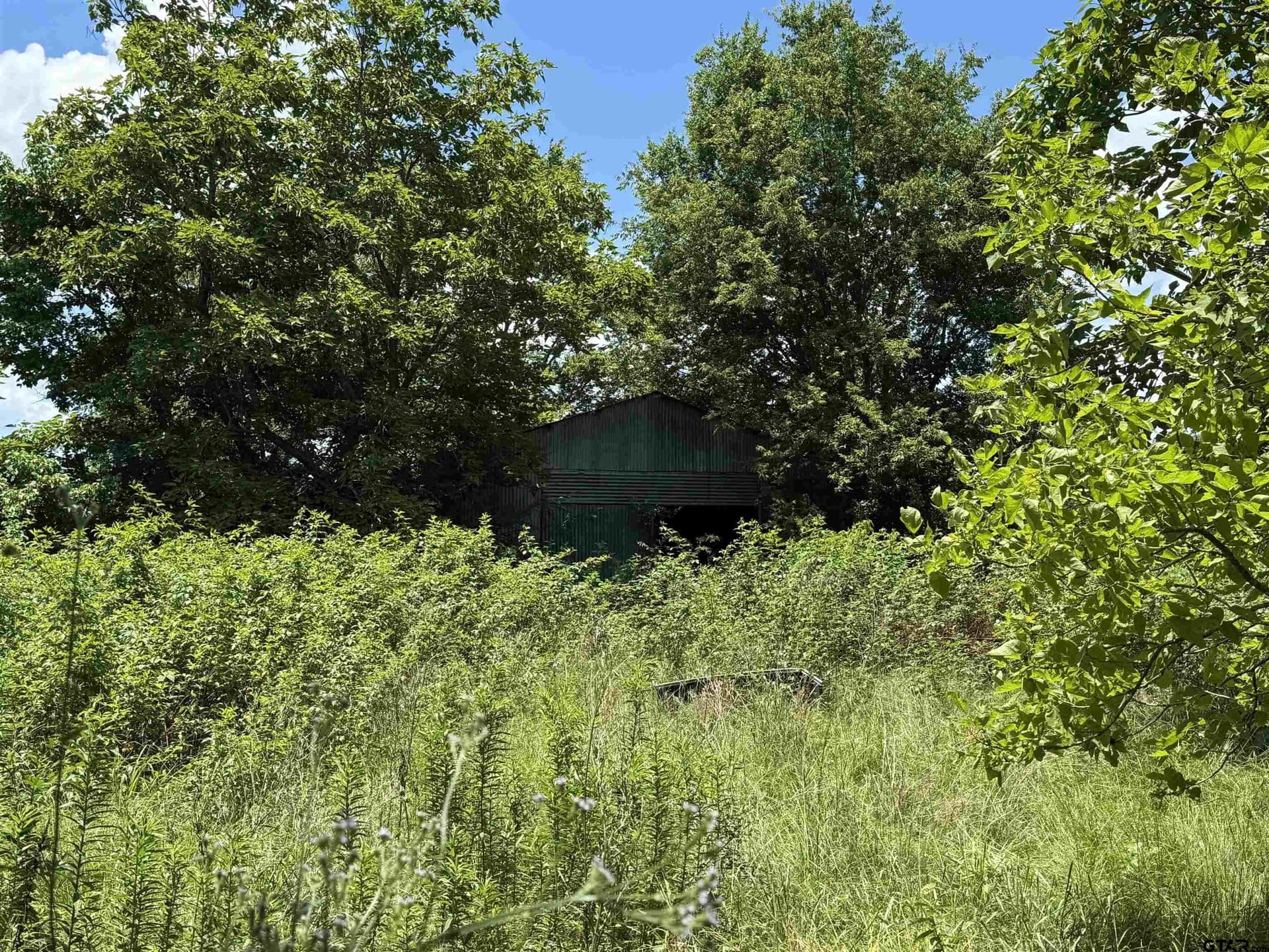 34.47 acres in Titus County - photo 12