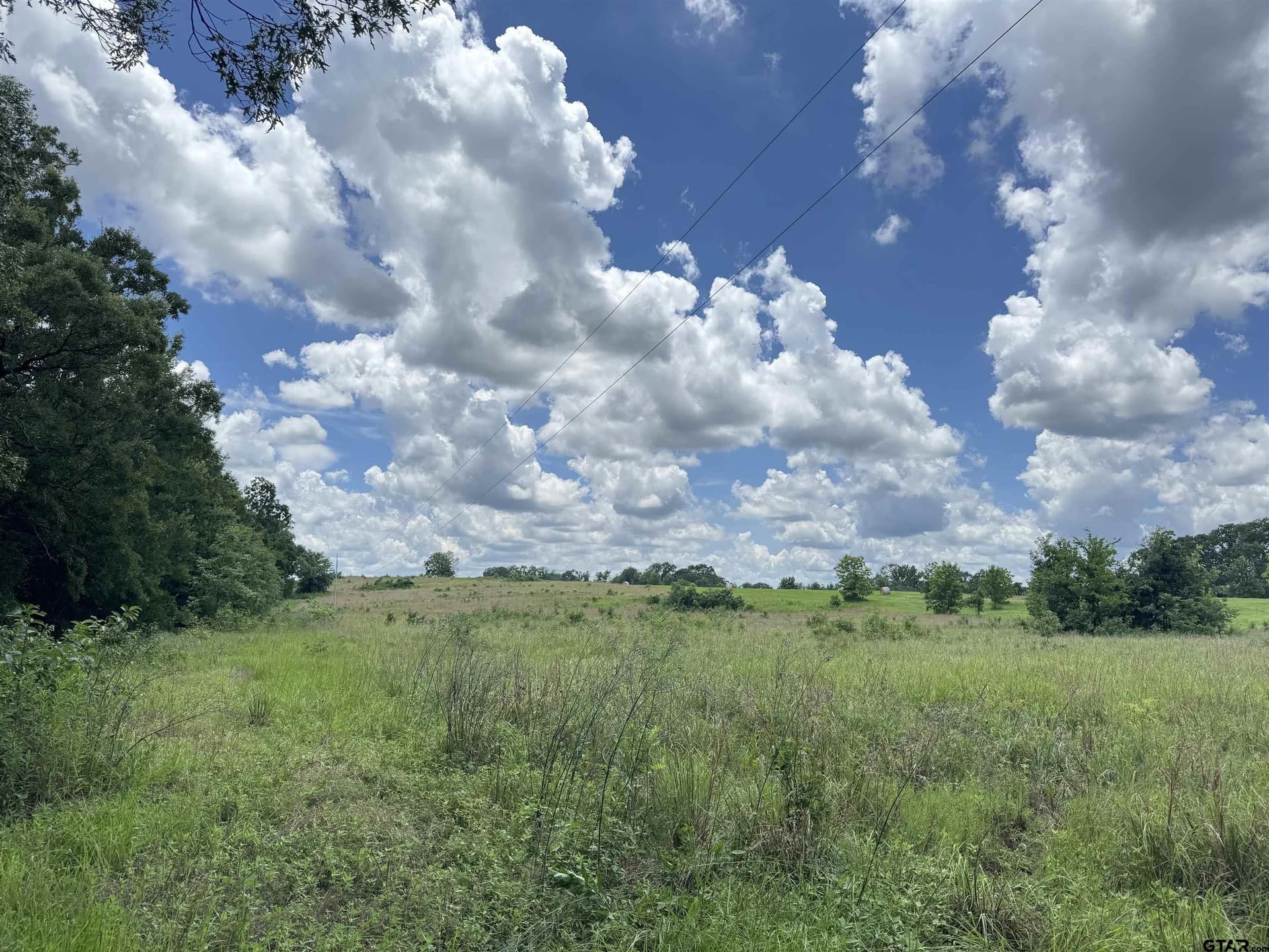 34.47 acres in Titus County - photo 7