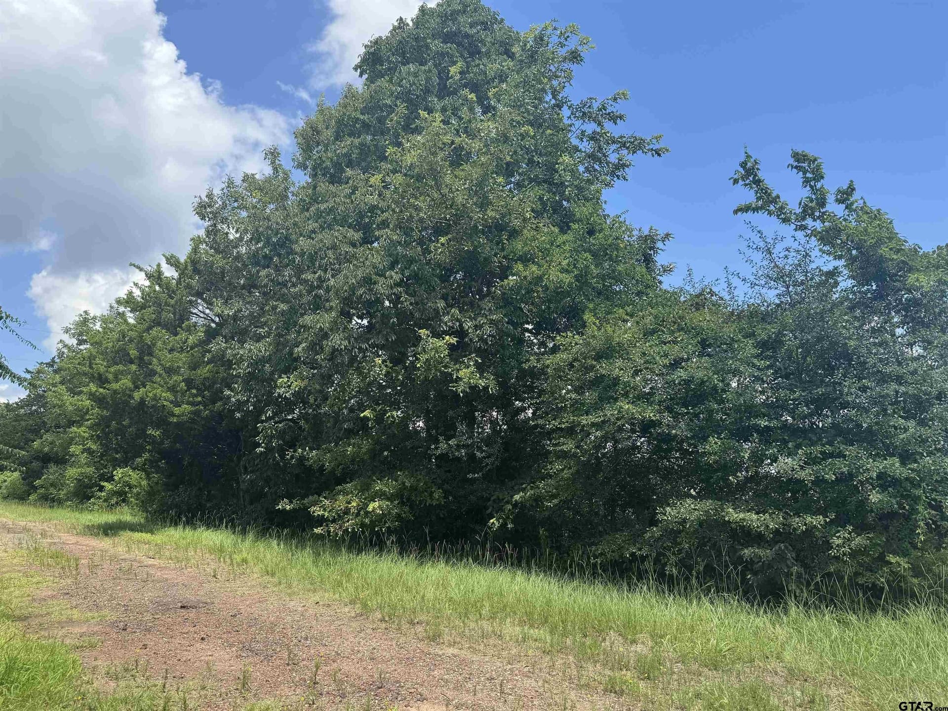 34.47 acres in Titus County - photo 3