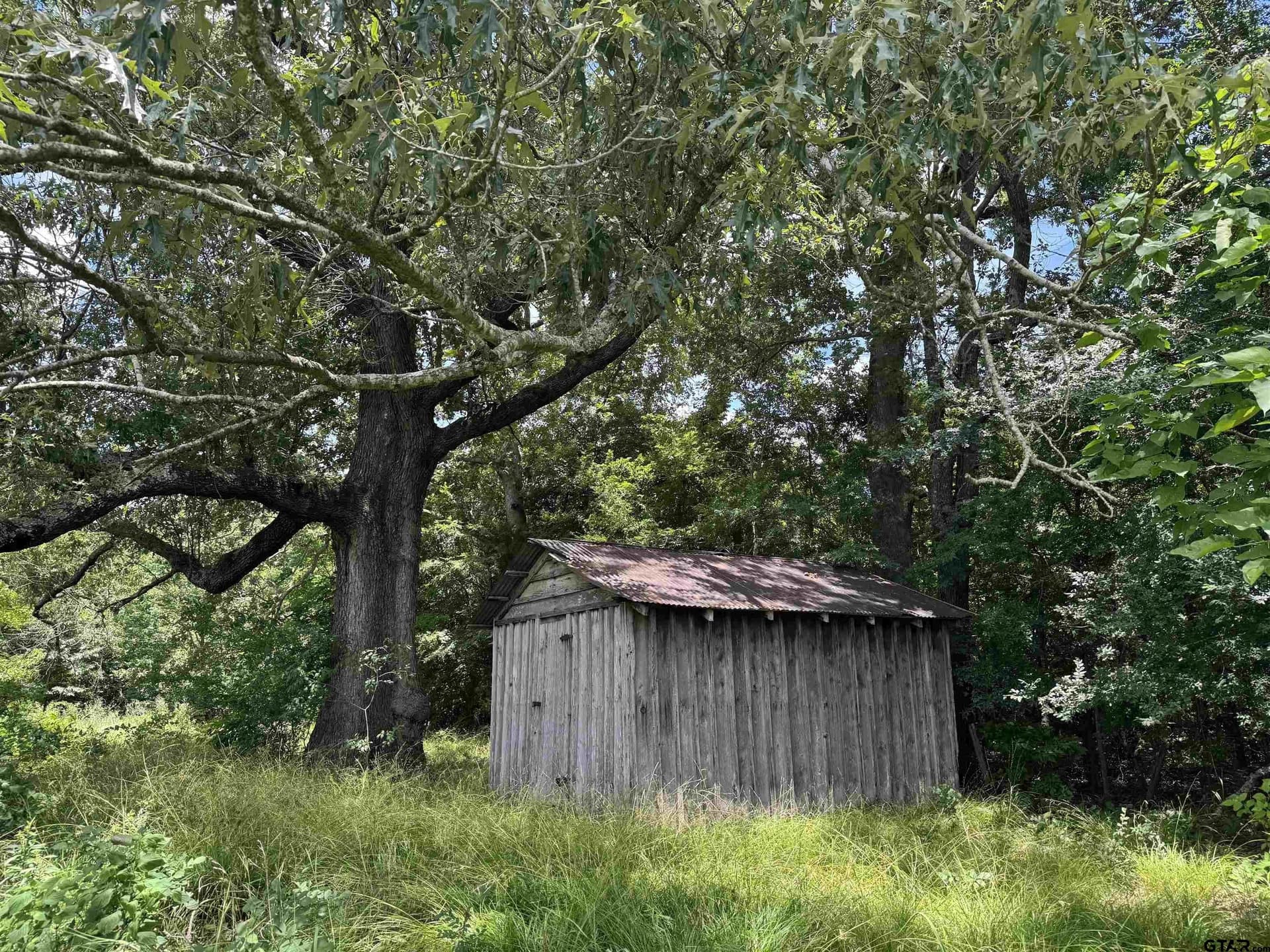 34.47 acres in Titus County - photo 6