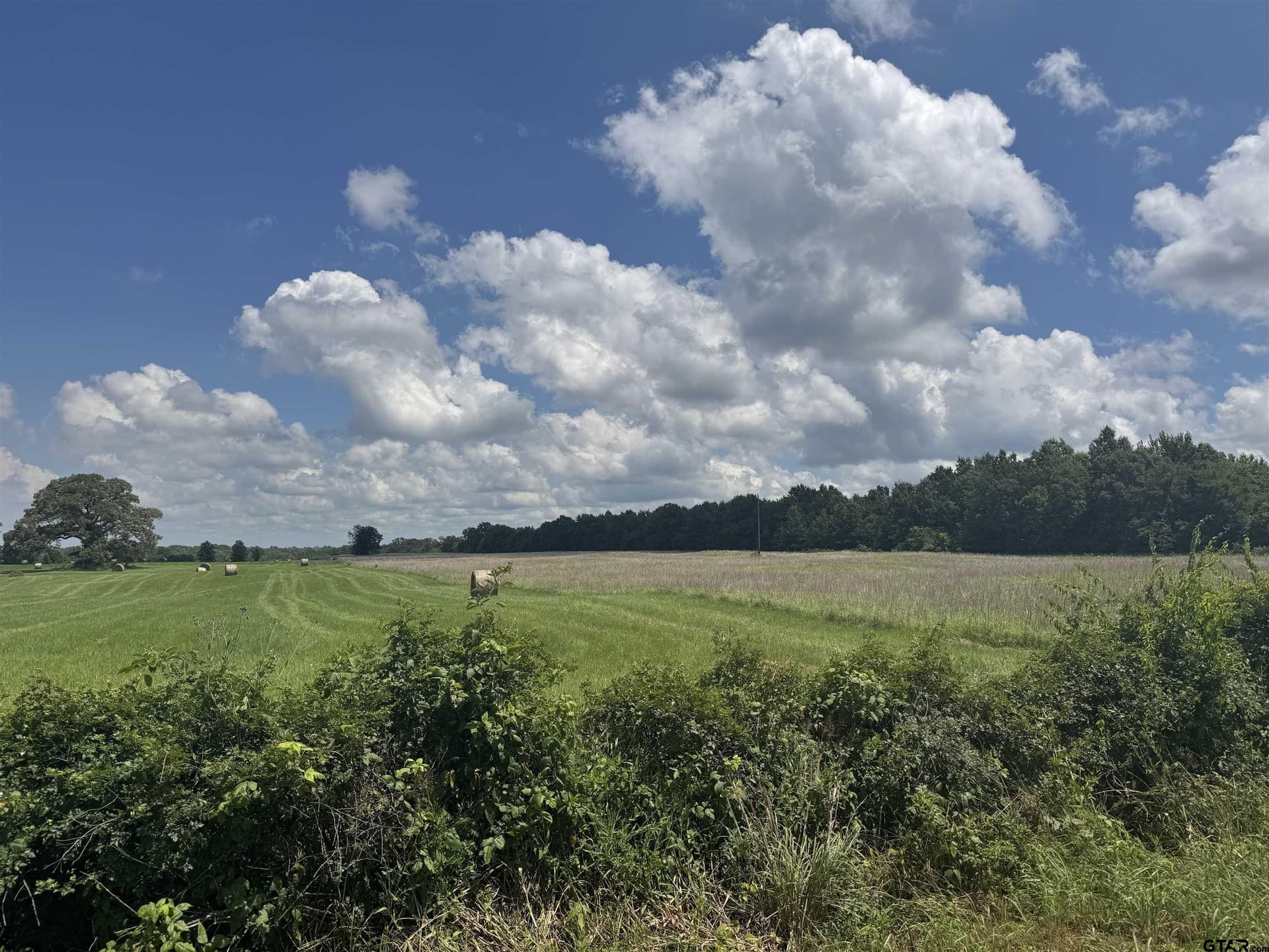 34.47 acres in Titus County - photo 4