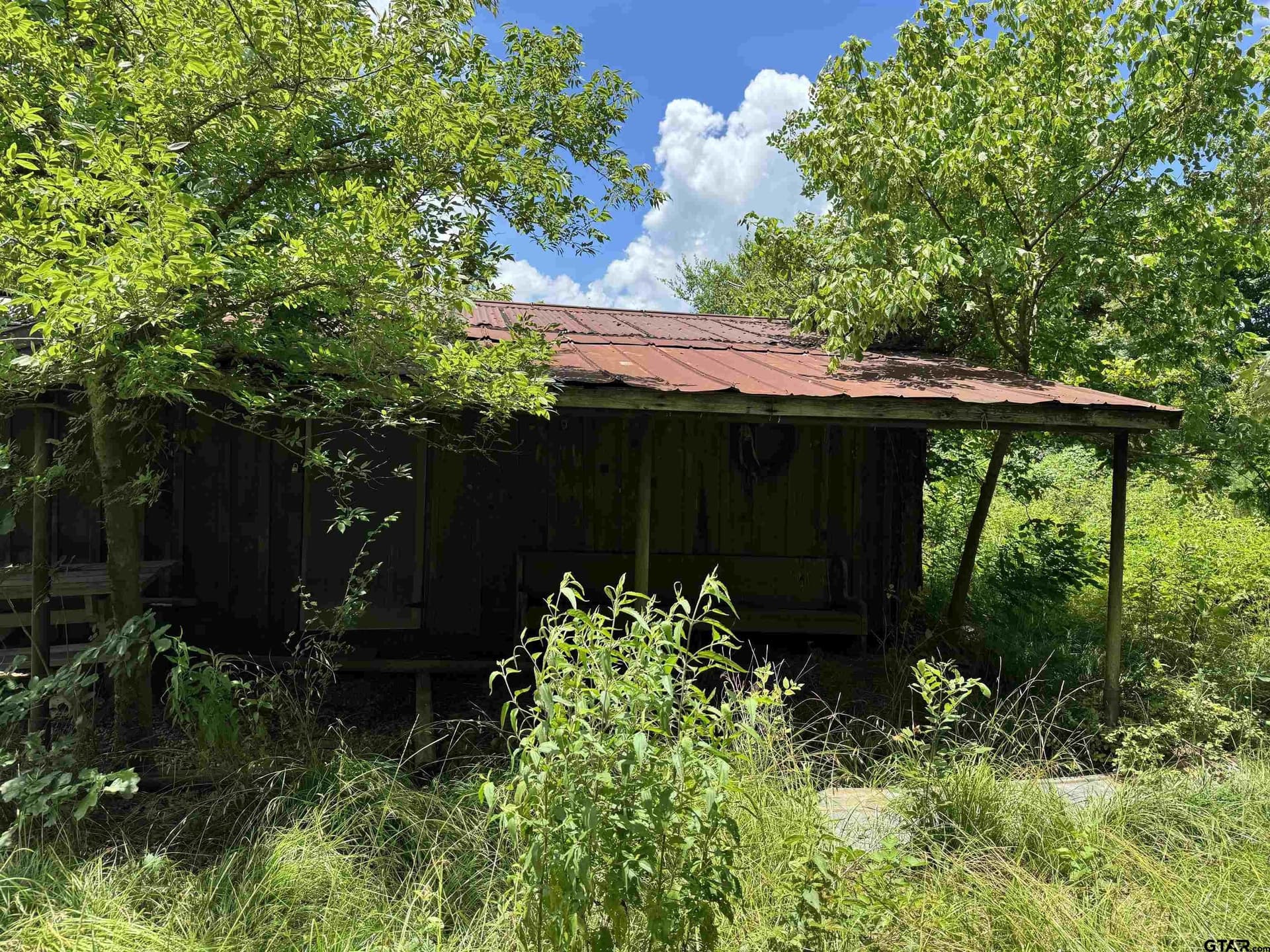 34.47 acres in Titus County - photo 9