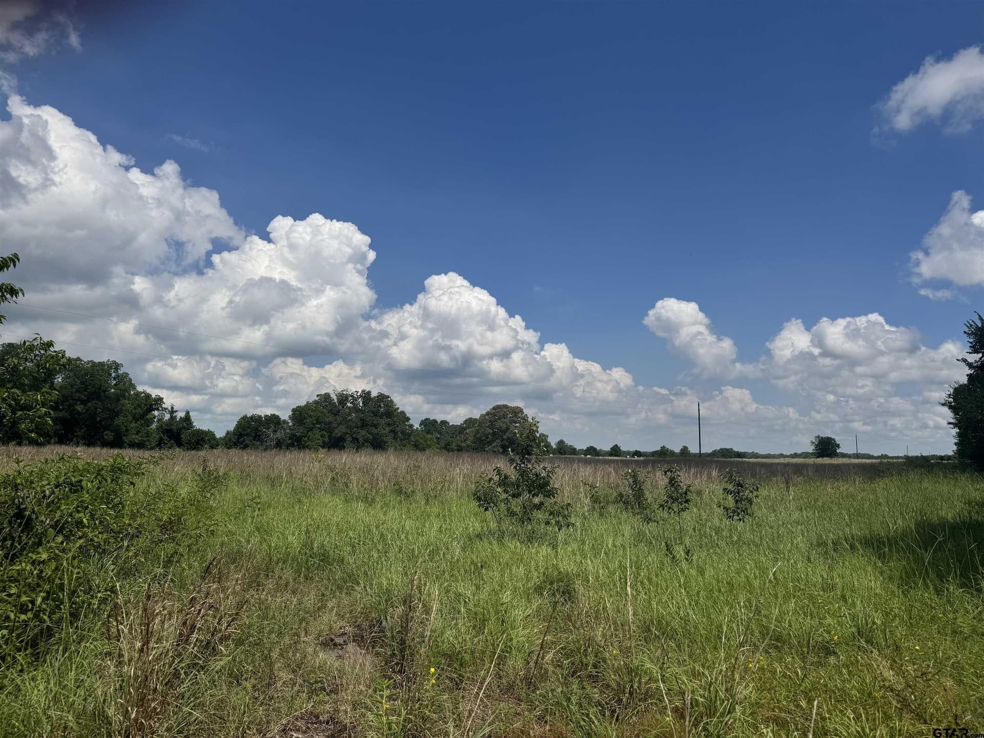 34.47 acres in Titus County - photo 2