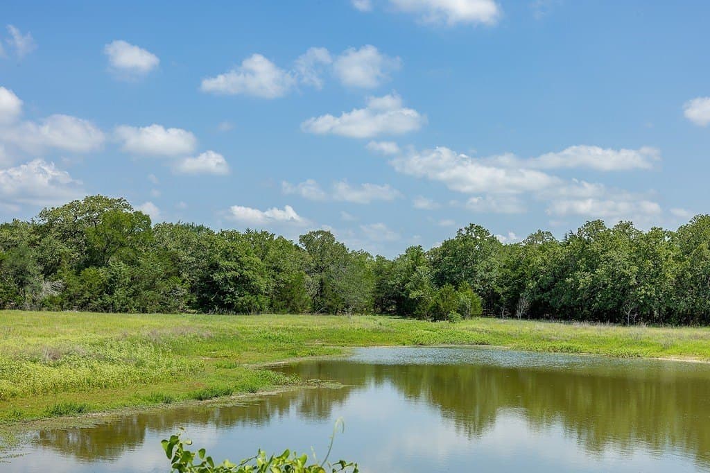 20 acres in Fayette County - photo 6