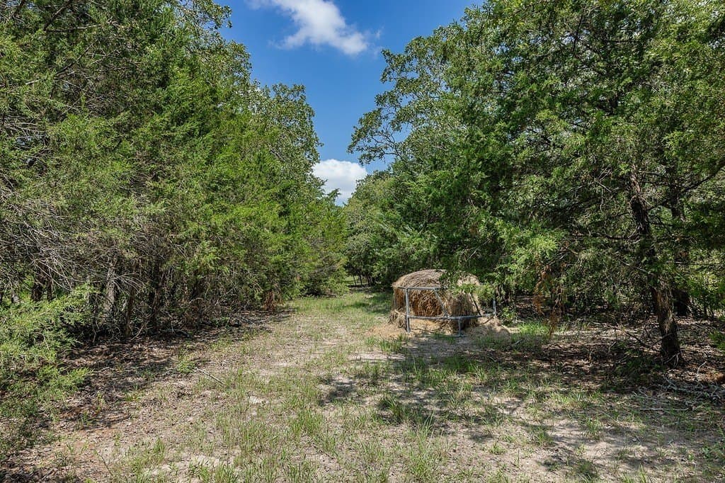 20 acres in Fayette County - photo 13