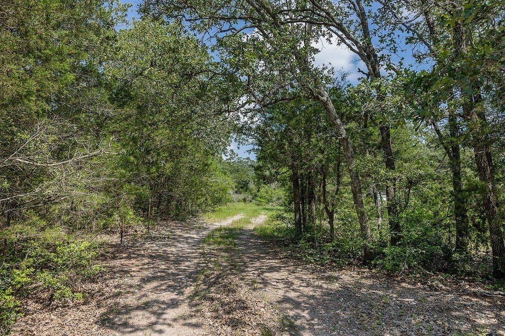 20 acres in Fayette County - photo 8