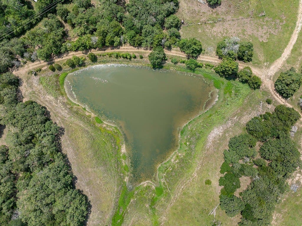 20 acres in Fayette County - photo 4