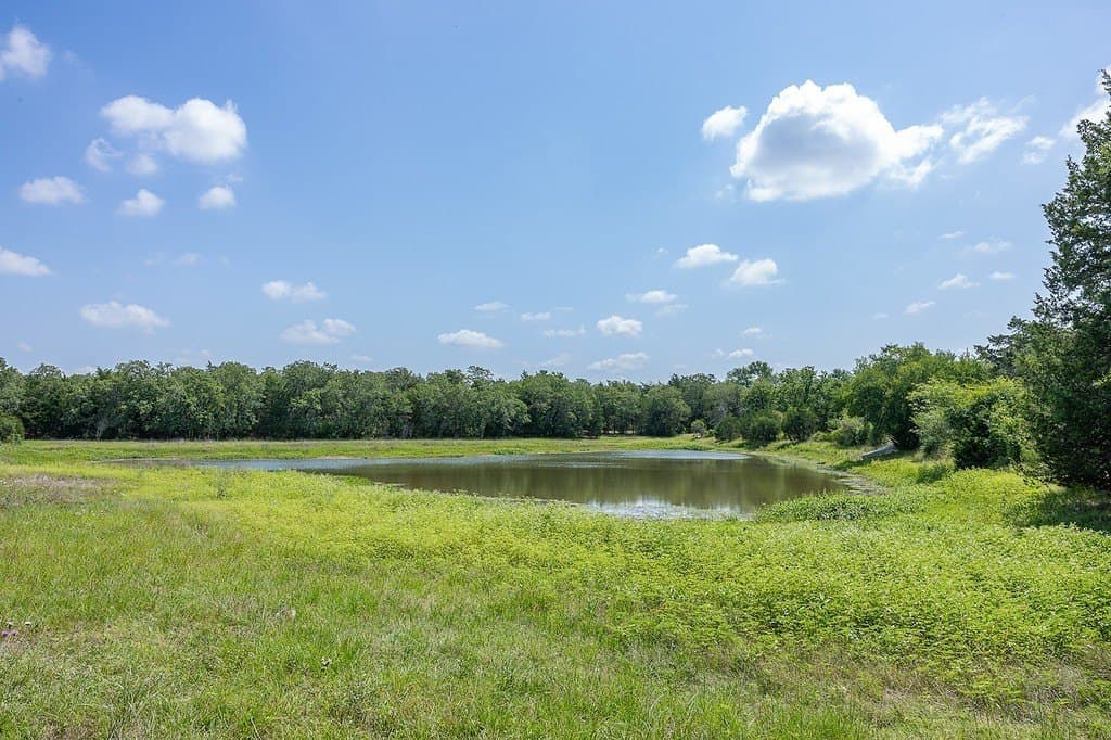 20 acres in Fayette County - photo 5