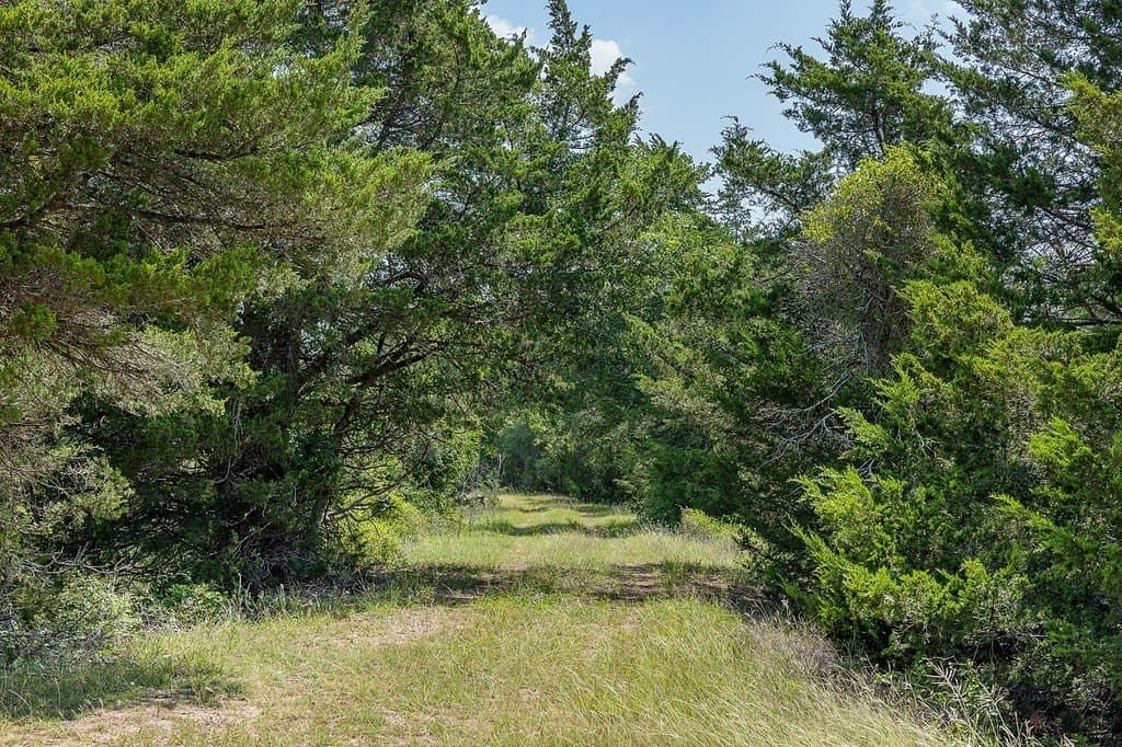 20 acres in Fayette County - photo 20