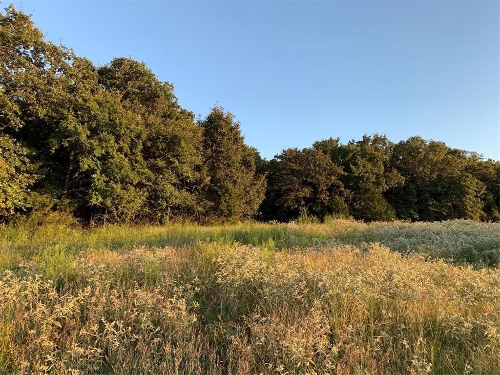 12.77 acres in Cooke County - photo 22