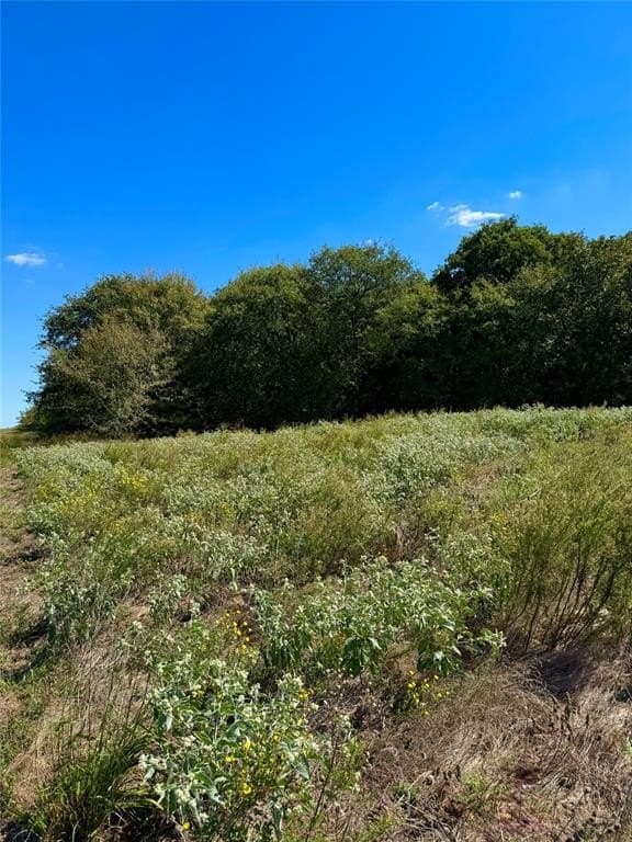 12.77 acres in Cooke County - photo 21