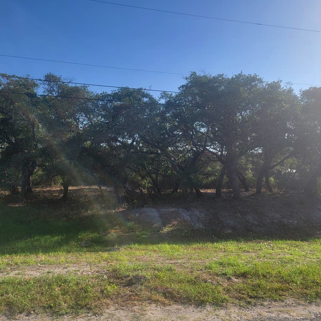 0 acres in Texas County - photo 2
