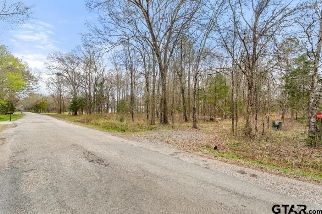 3.25 acres in Smith County - photo 6
