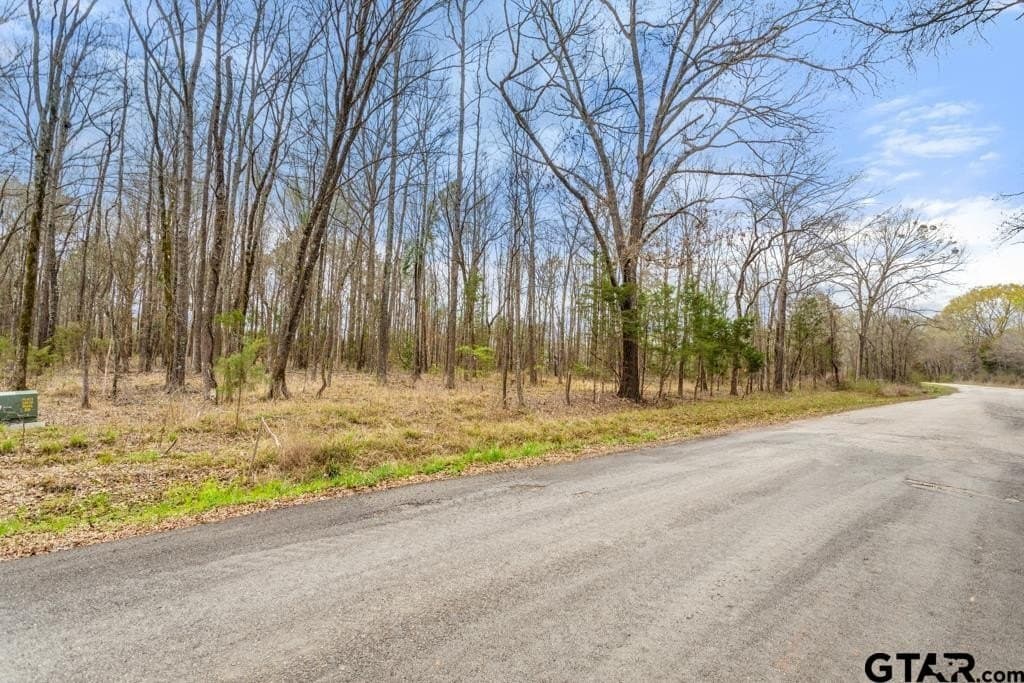3.25 acres in Smith County - photo 5