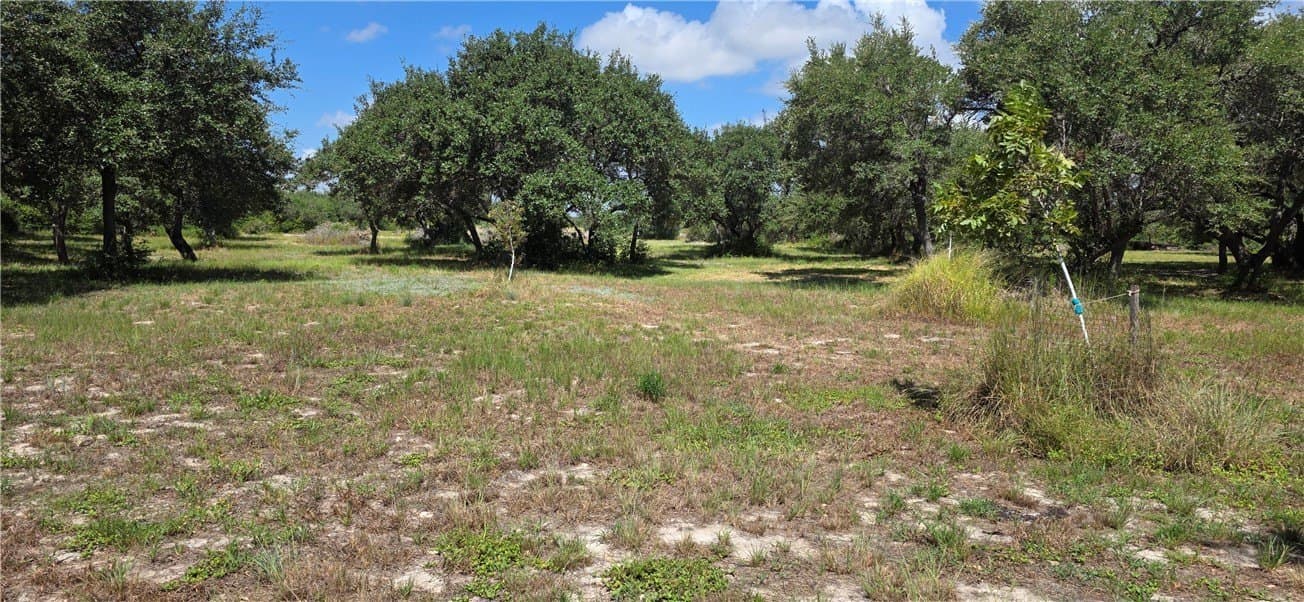 6.59 acres in San Patricio County - photo 2
